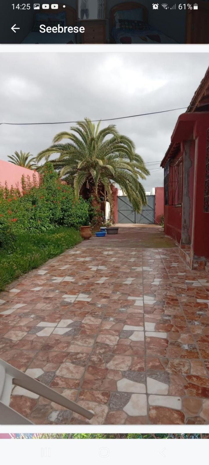 Palmtree Bed & Breakfast El Jadida Bagian luar foto